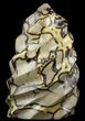 Polished Septarian Twist Sculpture - lbs #51485-1